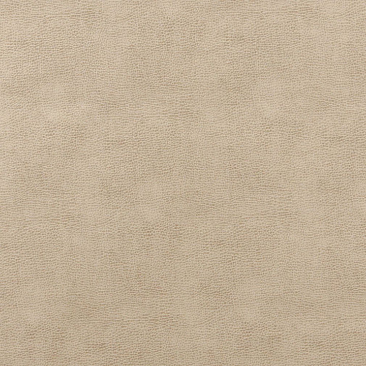 7583 Sandstone by Charlotte Fabric Recycled Leather III 50% Polyurethane, 50% Recycled Leather (Pvc/Lead Free), 30oz. Asia Exceeds 200,000 Wyzenbeek Rubs (Heavy Duty) No Repeat 54 Inches - Fabric Carolina -