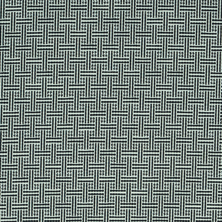 Brickell Black 75935 by Schumacher Fabric INDOOR/OUTDOOR PRINTS & WOVENS V ACRYLIC 100% FRANCE MARTINDALE 20,000 </p><p>Repeat: Horizontal: 1" (3CM) and Vertical: 1 1/4" (3CM) 54.25 - Fabric Carolina -