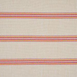 Garden Stripe Indoor/Outdoor Red 75974 by Schumacher Fabric
