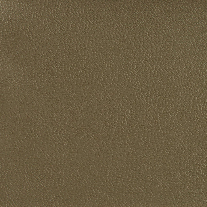 7598 Desert by Charlotte Fabric Heavy Duty Soft Touch Vinyl II 100% Virgin Vinyl, 30oz. Asia Exceeds 200,000 Wyzenbeek Rubs (Heavy Duty) No Repeat 54 Inches - Fabric Carolina -