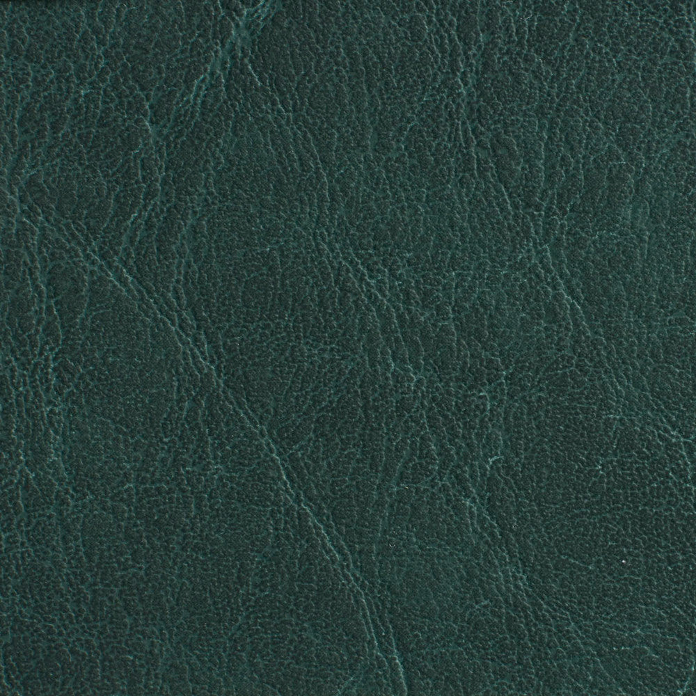 7619 Forest by Charlotte Fabric Heavy Duty Soft Touch Vinyl II 100% Vinyl, 30oz. Asia Exceeds 200,000 Wyzenbeek Rubs (Heavy Duty) </p><p>Repeat: 54 Inches - Fabric Carolina -