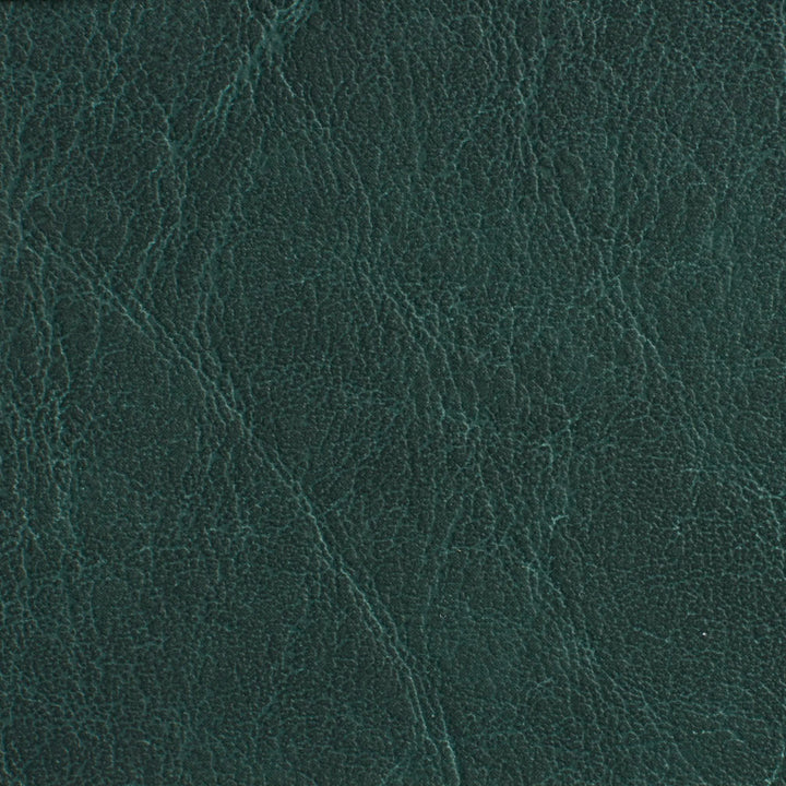 7619 Forest by Charlotte Fabric Heavy Duty Soft Touch Vinyl II 100% Virgin Vinyl, 30oz. Asia Exceeds 200,000 Wyzenbeek Rubs (Heavy Duty) No Repeat 54 Inches - Fabric Carolina -