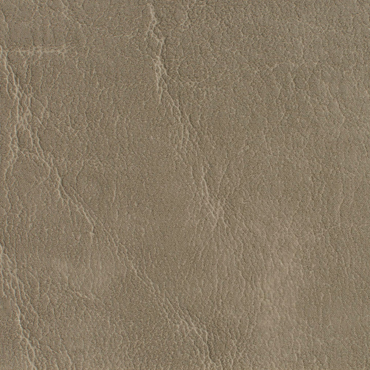 7620 Taupe by Charlotte Fabric Heavy Duty Soft Touch Vinyl II 100% Vinyl, 30oz. Asia Exceeds 200,000 Wyzenbeek Rubs (Heavy Duty) </p><p>Repeat: 54 Inches - Fabric Carolina -