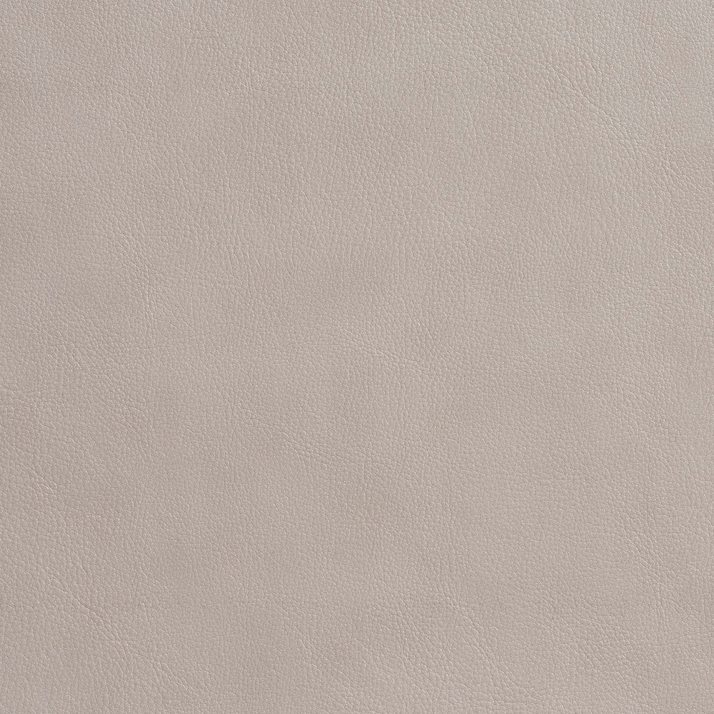 7638 Platinum by Charlotte Fabric Recycled Leather V 50% Polyurethane, 50% Recycled Leather (Pvc/Lead Free), 30oz. Asia Exceeds 200,000 Wyzenbeek Rubs (Heavy Duty) No Repeat 54 Inches - Fabric Carolina -