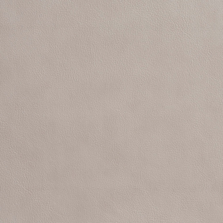 7638 Platinum by Charlotte Fabric Recycled Leather V 50% Polyurethane, 50% Recycled Leather (Pvc/Lead Free), 30oz. Asia Exceeds 200,000 Wyzenbeek Rubs (Heavy Duty) No Repeat 54 Inches - Fabric Carolina -