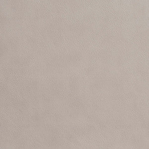 7638 Platinum by Charlotte Fabric