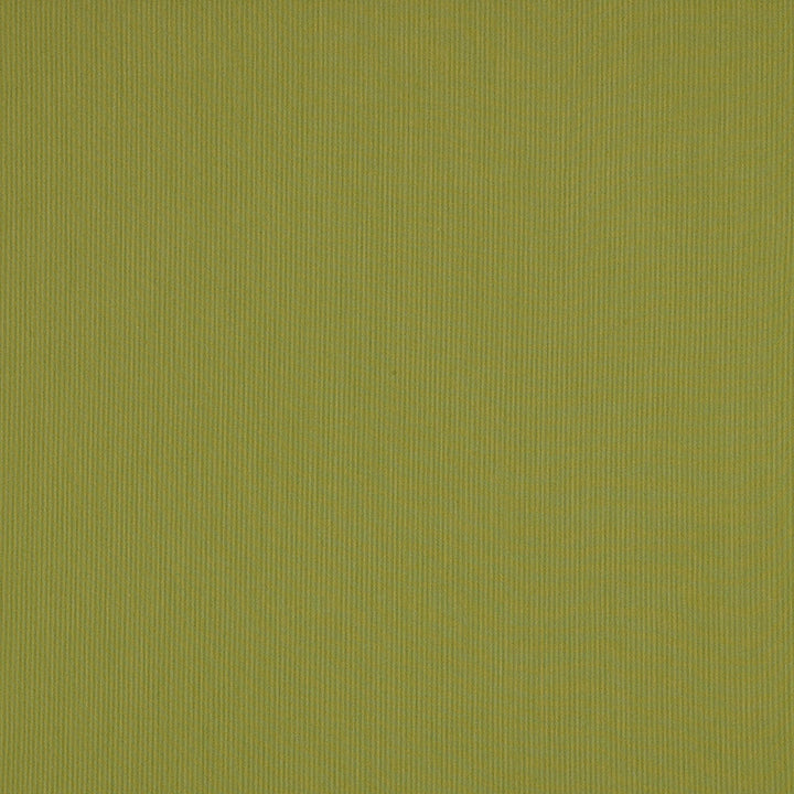 SJA 3970 137 Canvas Lichen by Sunbrella Designer Fabric Sunbrella European Sunbrella® Acrylic, Sunbrella® Polyester USA or Imported 5-Year Horizontal: and Vertical: 54 in. - Swanky Fabrics -