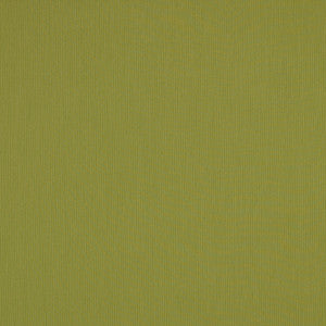 SJA 3970 137 Canvas Lichen by Sunbrella Fabric
