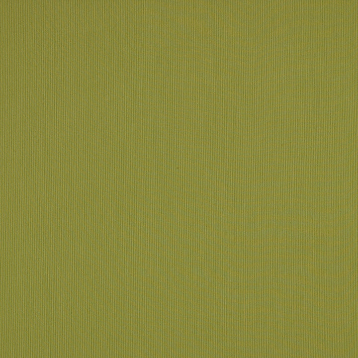 SJA 3970 137 Canvas Lichen by Sunbrella Fabric Sunbrella European Sunbrella® Acrylic, Sunbrella® Polyester USA or Imported 5-Year Horizontal: and Vertical: 54 in. - Fabric Carolina -