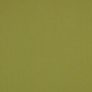 SJA 3970 137 Canvas Lichen by Sunbrella Fabric