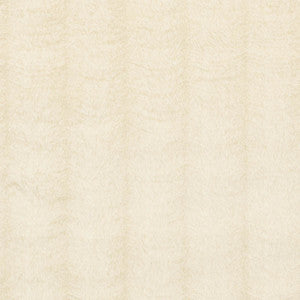 Tundra Ivory 76460 by Schumacher Fabric