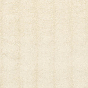 Tundra Ivory 76460 by Schumacher Fabric