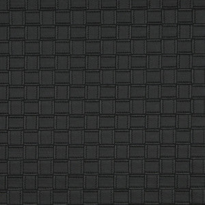 7656 Ebony by Charlotte Fabric
