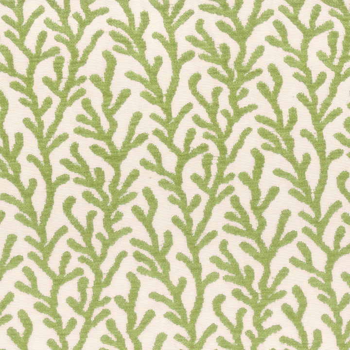7659-15 Sea Coral Chenille by Bassett Mcnab Designer Fabric BASSETT MCNAB WOVENS 53%SVI 26%POL 21%COT USA WYZENBEEK 45 000 DOUBLE RUB WEAR TEST (HEAVY DUTY) Horizontal: 7.5 and Vertical: 5.875 54 in - Swanky Fabrics -