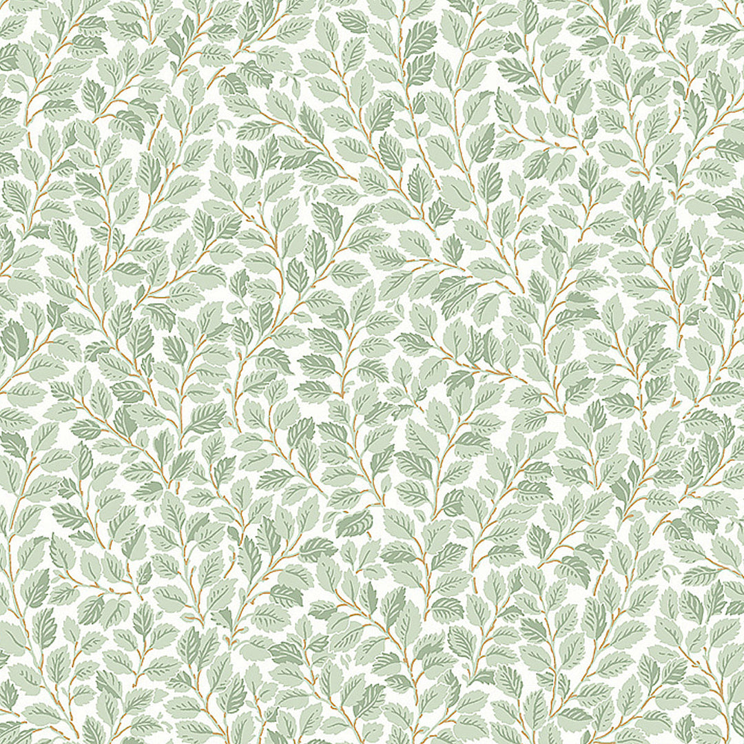 Hazel - Ivory by Schumacher Wallcovering