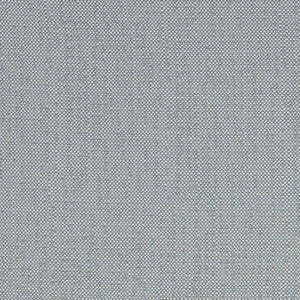 SAV2 J349 140 Savane Whisper by Sunbrella Fabric