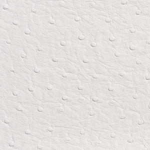 7700 White by Charlotte Fabric