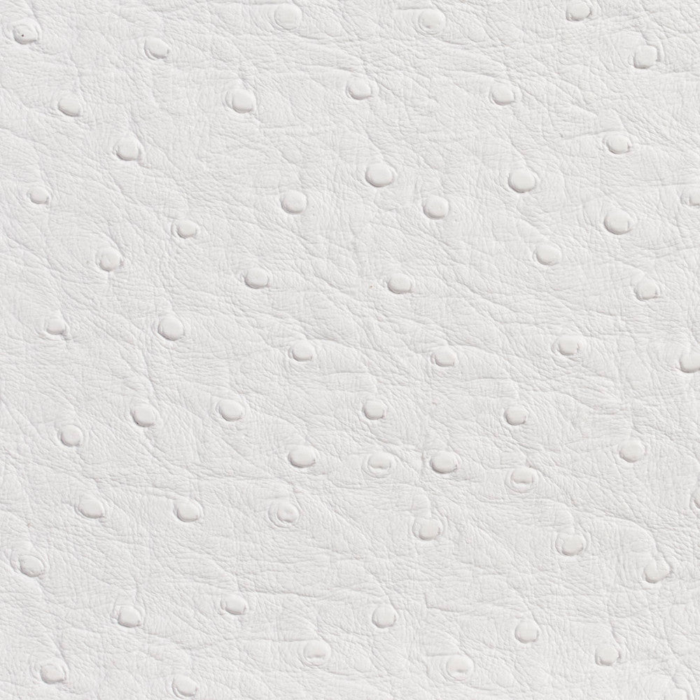 7700 White by Charlotte Designer Fabric Outdoor/Indoor Vinyl Oasis 100% Virgin Vinyl, 32oz. Asia Exceeds 600,000 Wyzenbeek Rubs (Heavy Duty) No Repeat 54 Inches - Swanky Fabrics -