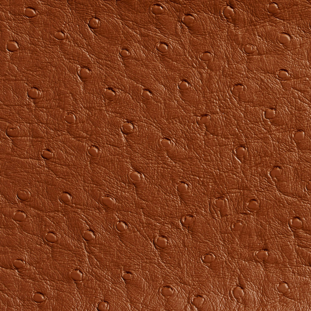 7701 Saddle by Charlotte Fabric Outdoor/Indoor Vinyl Oasis 100% Vinyl, 32oz. Asia Exceeds 600,000 Wyzenbeek Rubs (Heavy Duty) </p><p>Repeat: No Repeat 54 Inches - Fabric Carolina -