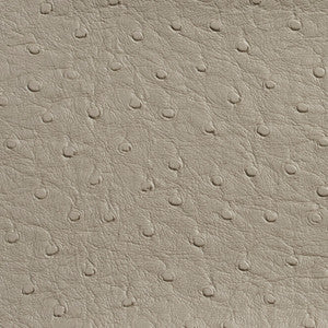 7702 Pewter by Charlotte Fabric