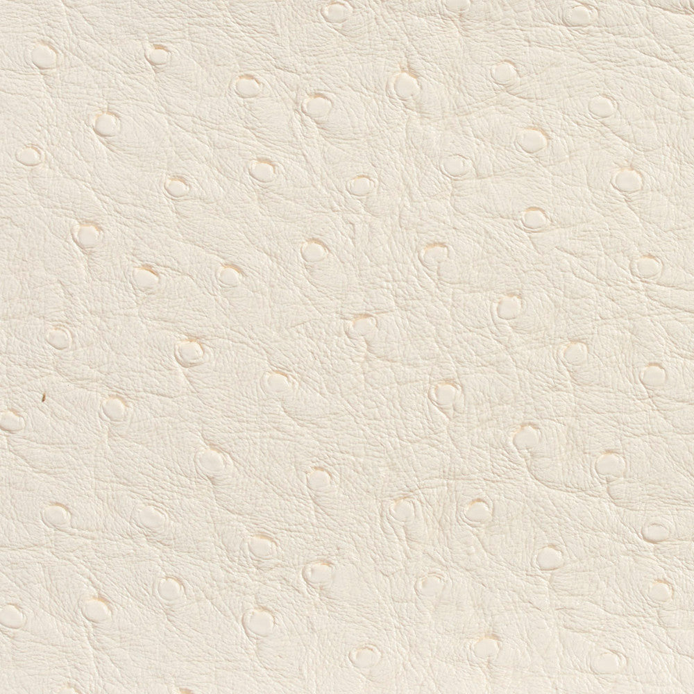 7704 Eggshell by Charlotte Designer Fabric Outdoor/Indoor Vinyl Oasis 100% Virgin Vinyl, 32oz. Asia Exceeds 600,000 Wyzenbeek Rubs (Heavy Duty) No Repeat 54 Inches - Swanky Fabrics -