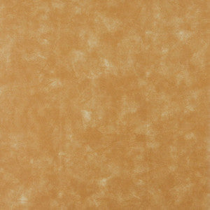 7715 Desert by Charlotte Fabric