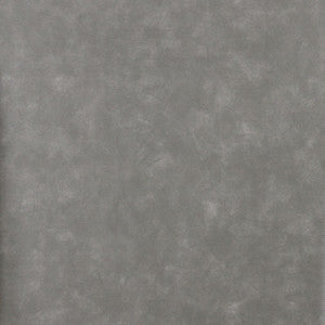 7716 Slate by Charlotte Fabric