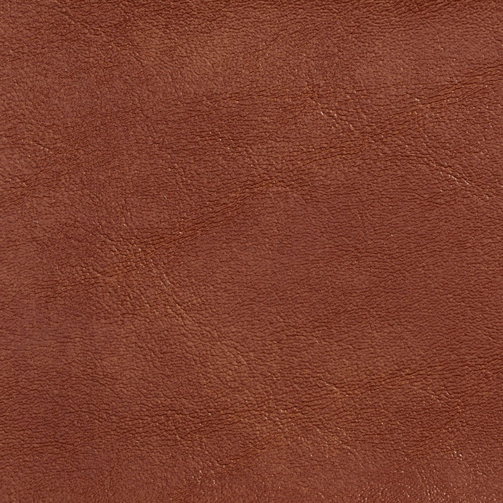 7717 Sable by Charlotte Fabric Outdoor/Indoor Vinyl Oasis 100% Virgin Vinyl, 32oz. Asia Exceeds 600,000 Wyzenbeek Rubs (Heavy Duty) No Repeat 54 Inches - Fabric Carolina -