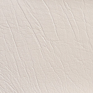 7731 Champagne by Charlotte Fabric