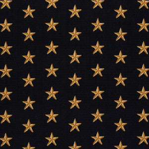 Star Epingle Black 77420 by Schumacher Fabric