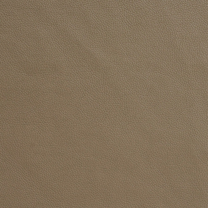 7774 Mushroom by Charlotte Fabric Luxurious Leather Looks IV 100% Polyurethane (Pvc/Lead Free), 34oz. Asia Exceeds 200,000 Wyzenbeek Rubs (Heavy Duty) No Repeat 54 Inches - Fabric Carolina -