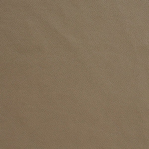 7774 Mushroom by Charlotte Fabric