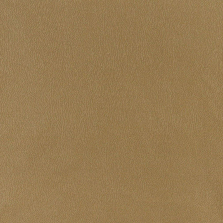 7779 Dune by Charlotte Fabric Luxurious Leather Looks IV 100% Polyurethane (Pvc/Lead Free), 34oz. Asia Exceeds 200,000 Wyzenbeek Rubs (Heavy Duty) No Repeat 54 Inches - Fabric Carolina -