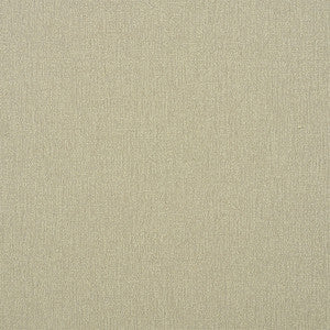 Albert Performance Cotton Flax 77802 by Schumacher Fabric