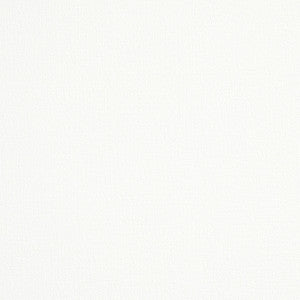 Albert Performance Cotton White 77808 by Schumacher Fabric