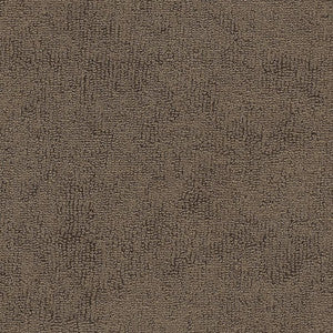 78002 Terry Cocoa by Sunbrella Fabric