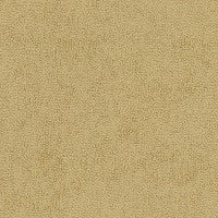 78009 Terry Wheat by Sunbrella Fabric