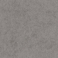 78010 Terry Dove by Sunbrella Fabric
