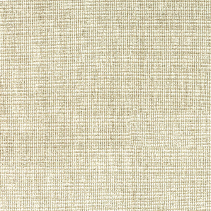 7804-11 Beginnings Sanddune by Bassett Mcnab Fabric BASSETT MCNAB ORIGINS 44%COT 38%SVI 18%POL ITALY MARTINDALE WEAR TEST (28 000 CIRCULAR RUBS) Horizontal: 0 and Vertical: 0 55 in - Fabric Carolina -