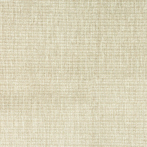 7804-11 Beginnings Sanddune by Bassett Mcnab Fabric