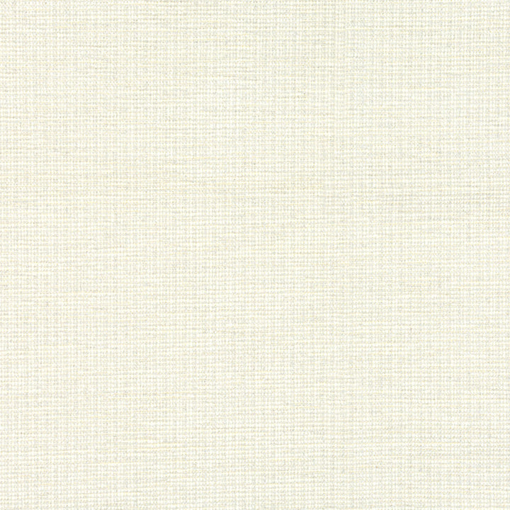 7804-17 Beginnings Fog by Bassett Mcnab Fabric BASSETT MCNAB ORIGINS 44%COT 38%SVI 18%POL ITALY MARTINDALE WEAR TEST (28 000 CIRCULAR RUBS) Horizontal: 0 and Vertical: 0 55 in - Fabric Carolina -
