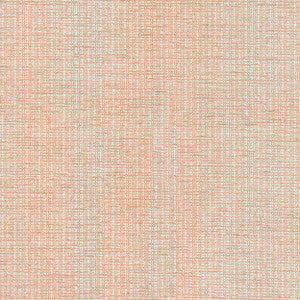 7804-21 Beginnings Desert by Bassett Mcnab Fabric