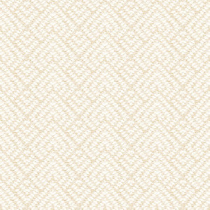7808-77 On Point Beach Blonde by Bassett Mcnab Fabric