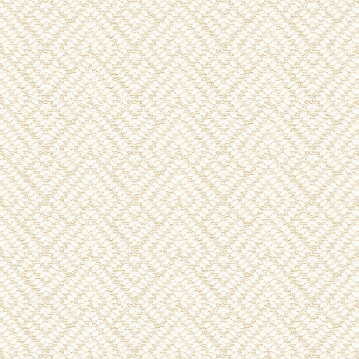 7808-77 On Point Beach Blonde by Bassett Mcnab Fabric BASSETT MCNAB SIGNATURE 38%SVI 32%LIN 26%COT 4%POL ITALY MARTINDALE WEAR TEST (25 000 CIRCULAR RUBS) Horizontal: 3.5 and Vertical: 2 55.11 in - Fabric Carolina -