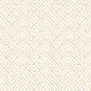 7808-77 On Point Beach Blonde by Bassett Mcnab Fabric