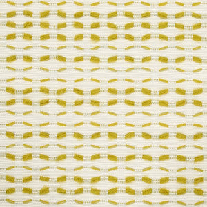 Branford Indoor/Outdoor Lime 78543 by Schumacher Fabric