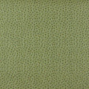 7858 Ivy by Charlotte Fabric