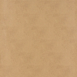 7878 Sand by Charlotte Fabric