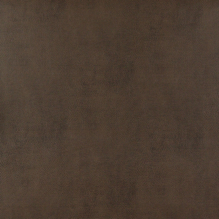 7879 Chestnut by Charlotte Fabric Exotics, Luxurious Leather Looks III 100% Virgin Vinyl, 34oz. Asia Exceeds 200,000 Wyzenbeek Rubs (Heavy Duty) No Repeat 54 Inches - Fabric Carolina -