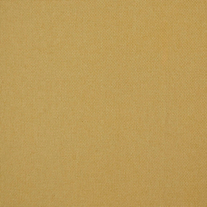 7880 Reed 16 Lemonade by Wmah Fabric Wmah Fabric 7880 Reed 16 LemonadeFabric William Morris At Home The Forager 60%Pol 25%Cot 15%Lin India </p><p>Repeat: H: 0.25, V: 2 54 in - Fabric Carolina -